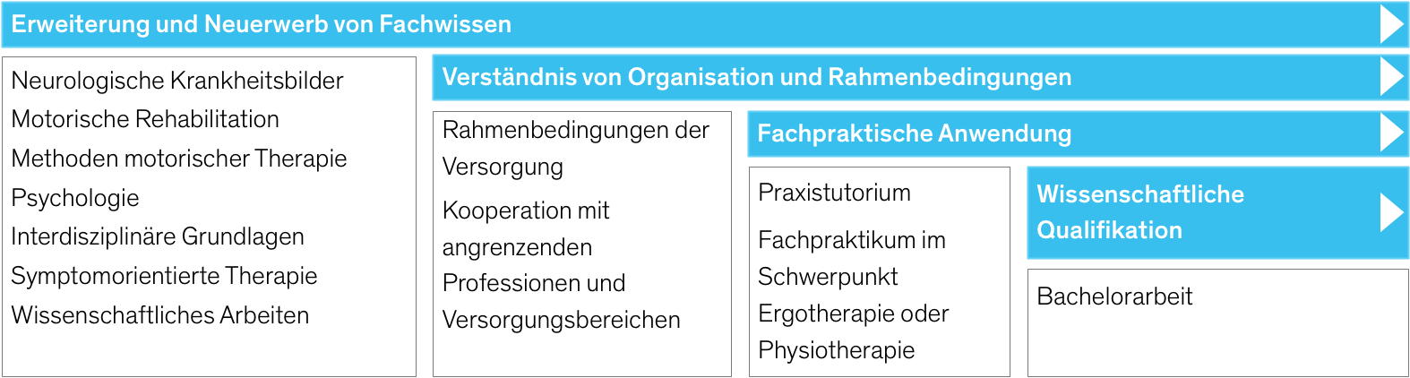 Neuroreha Bachelor Studieninhalte